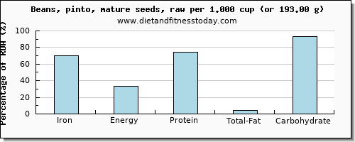iron and nutritional content in pinto beans